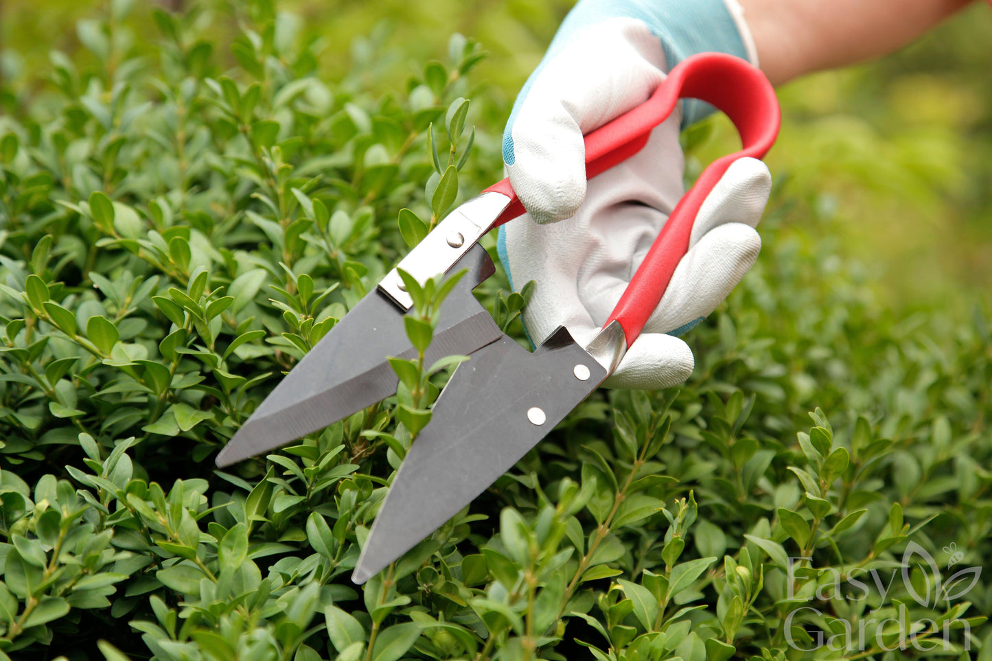 COMPACT TOPIARY SHEARS-Easy Garden Centre
