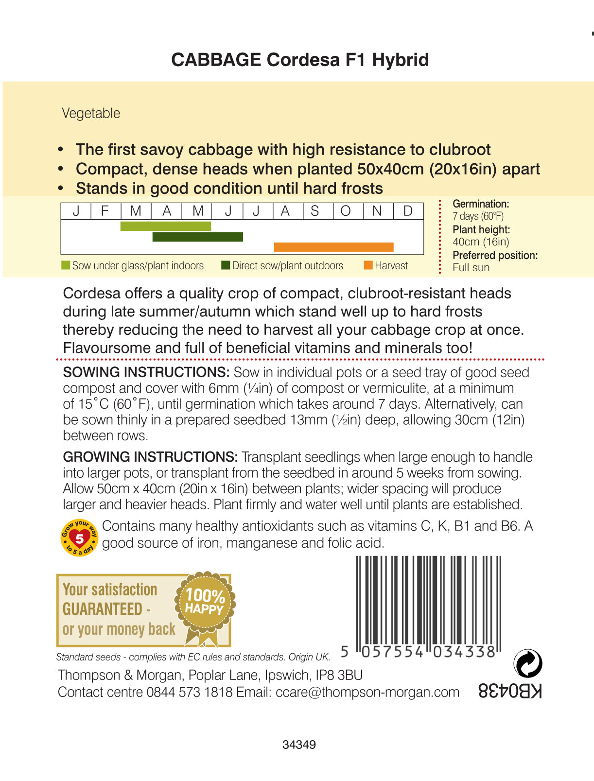 Cabbage Savoy Cordesa F1 Hybrid