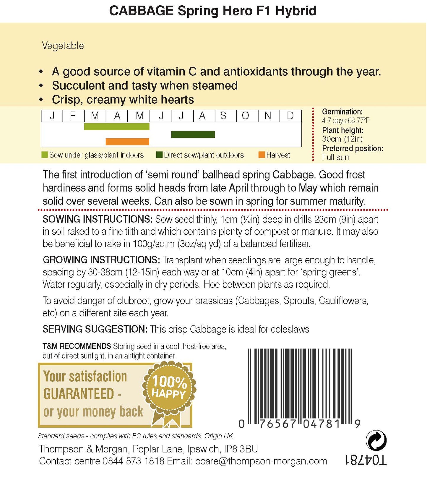 Cabbage Spring Hero F1 Hybrid-Easy Garden Centre