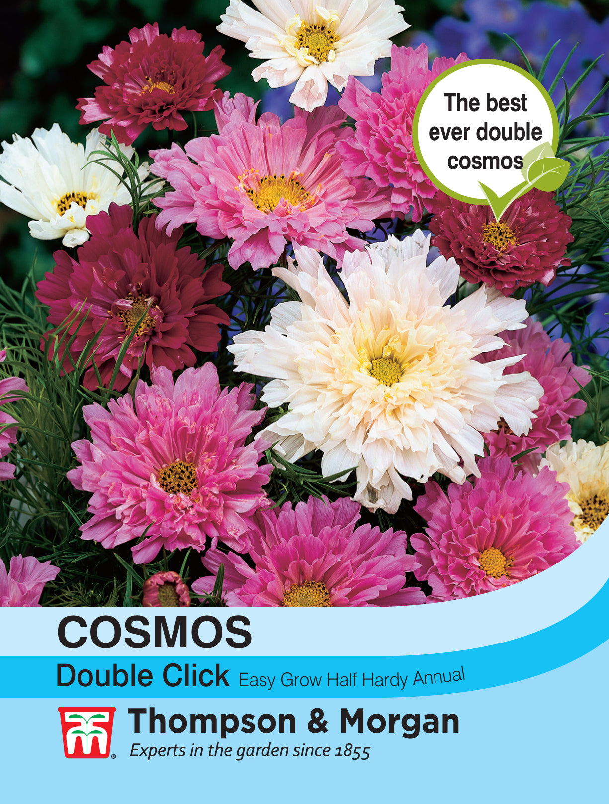 Cosmos Double Click Mix