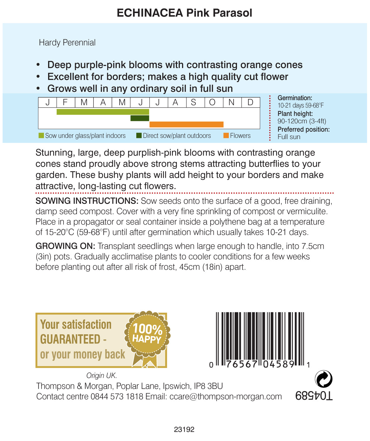 Echinacea Pink Parasol