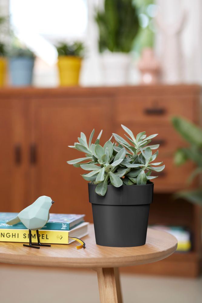 B.for Original Round 14 black