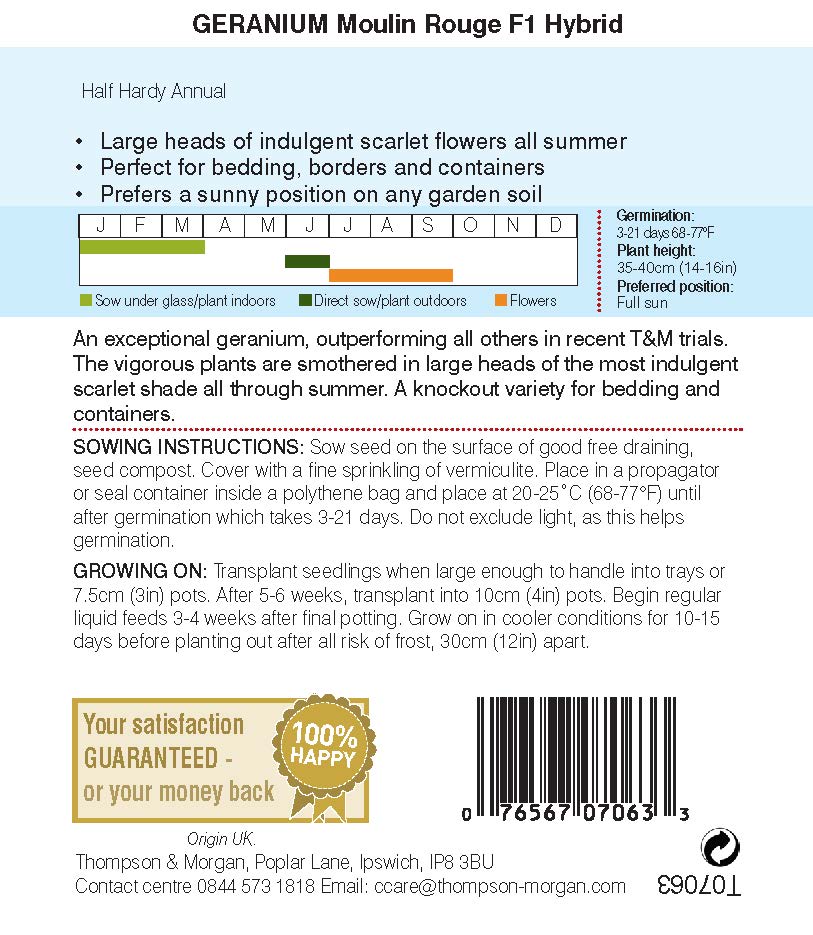 Geranium Moulin Rouge