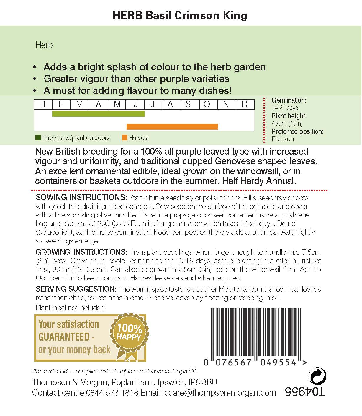 Herb Basil Crimson King