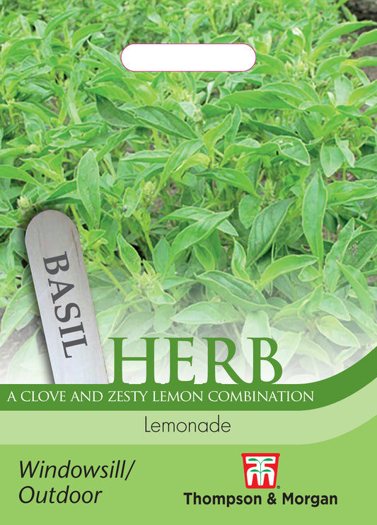Herb Basil Lemonade