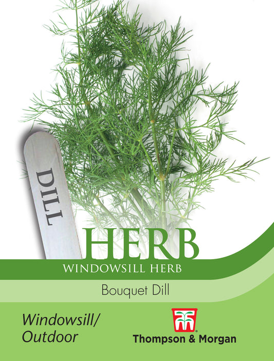 Herb Bouquet Dill