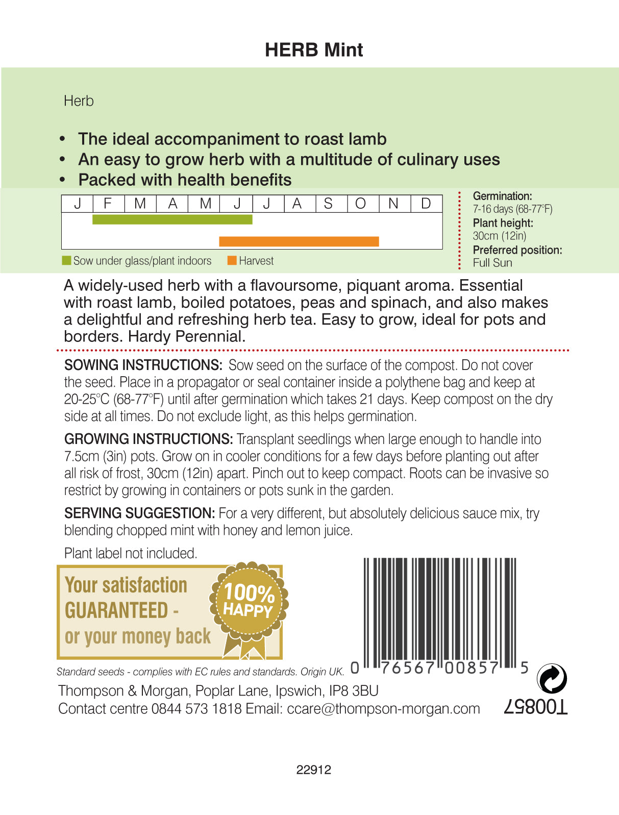 Herb Mint (Peppermint)