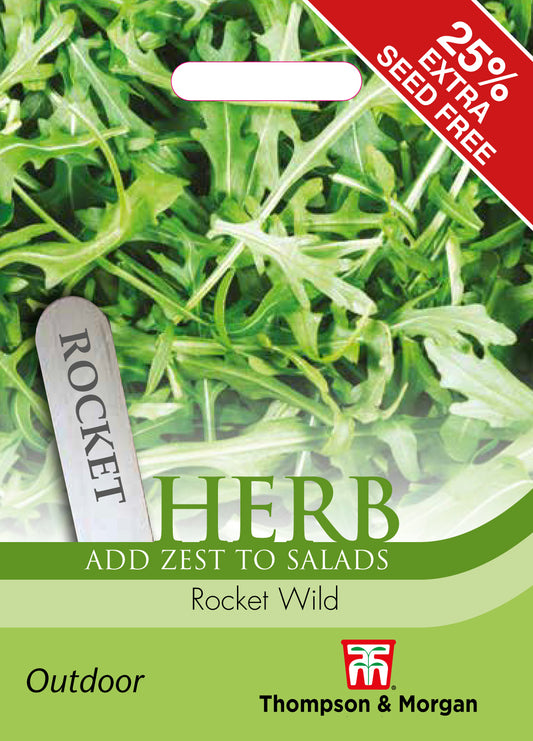 Herb Rocket Wild