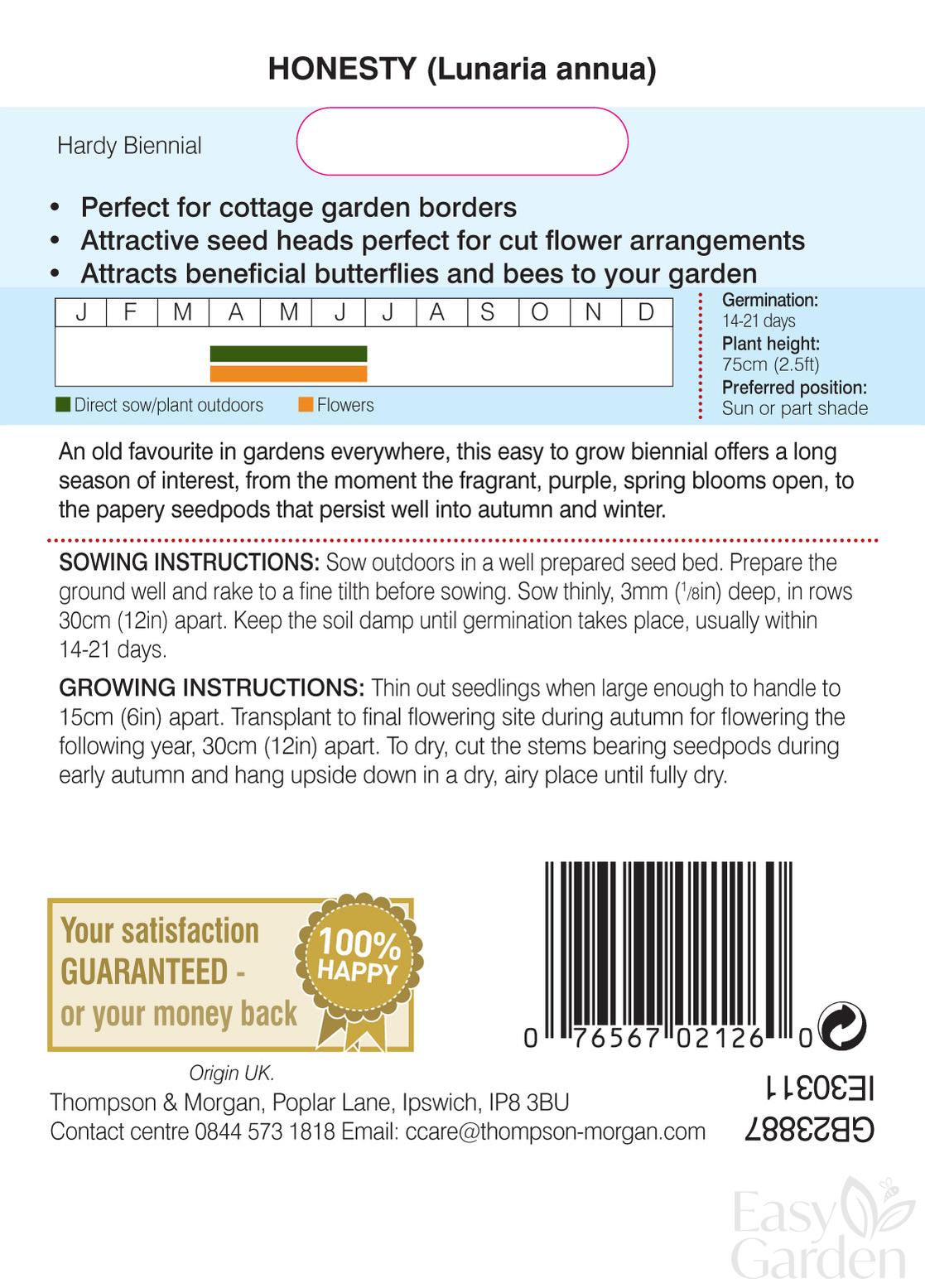 Honesty (Lunaria or Silver Dollar)-Easy Garden Centre