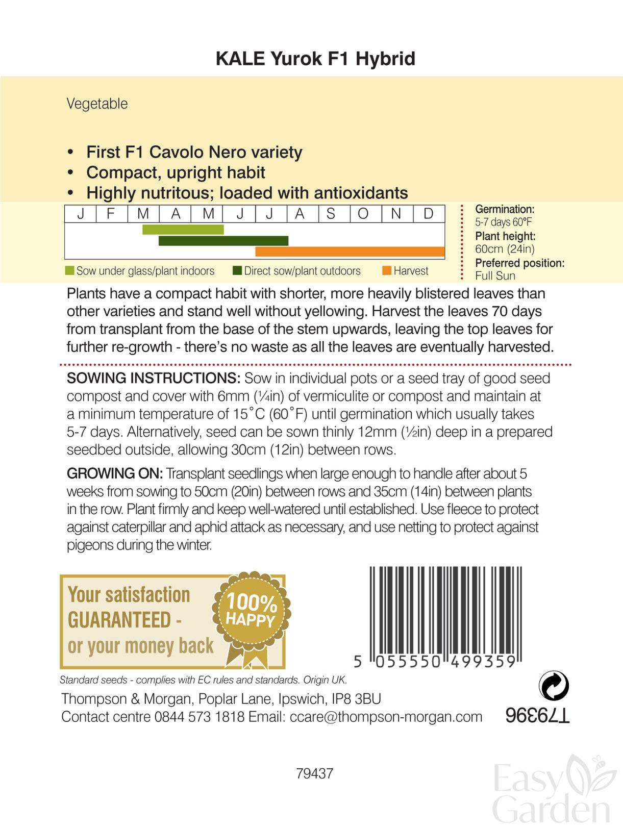 Kale Yurok F1 Hybrid