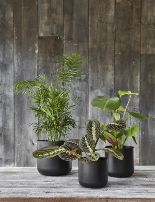Lisbon Planter Anthracite H24Cm D24Cm-Easy Garden Centre