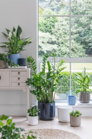 Lisbon Planter Powder Blue H18.5Cm D18.5Cm-Easy Garden Centre