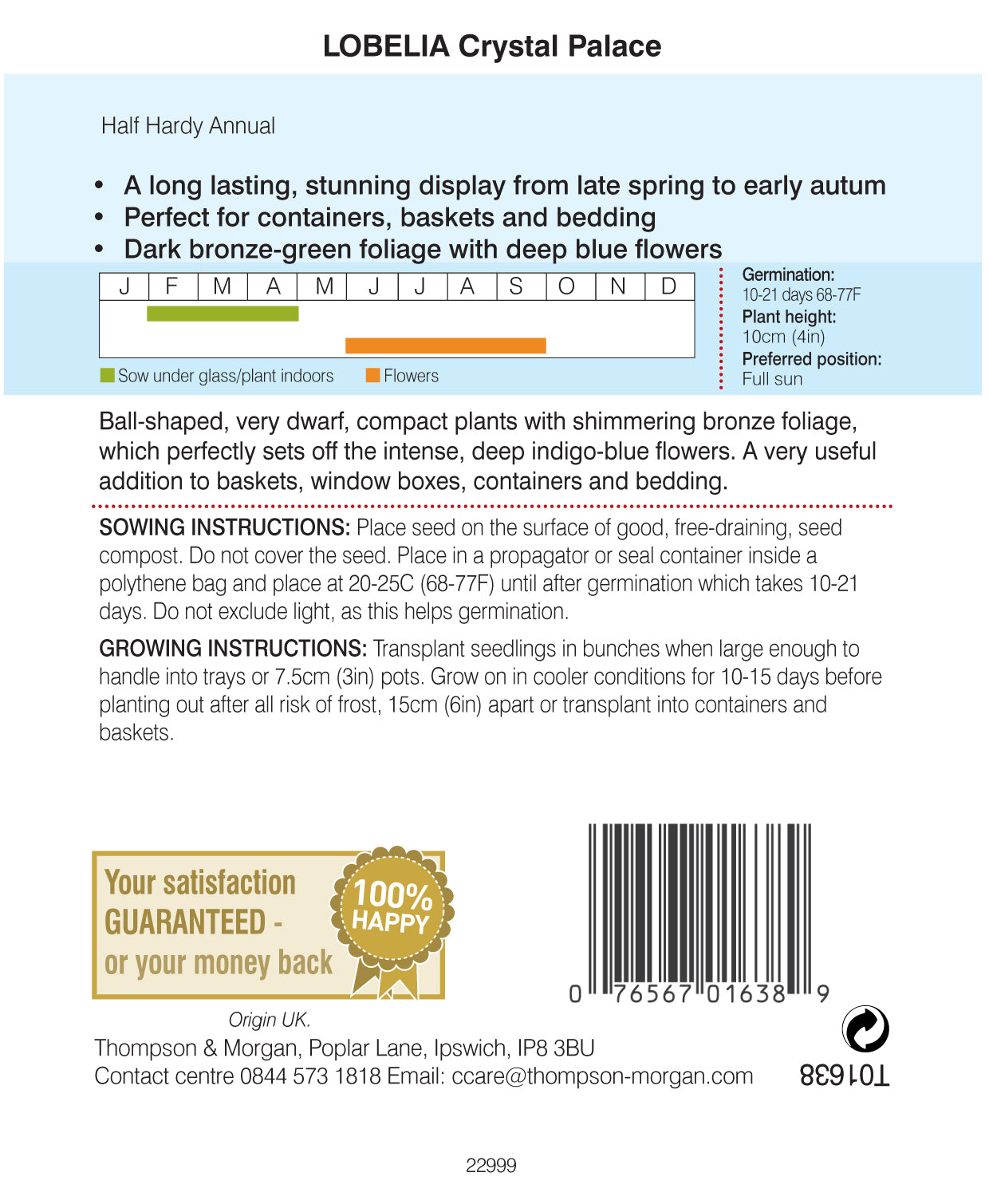 Lobelia Crystal Palace