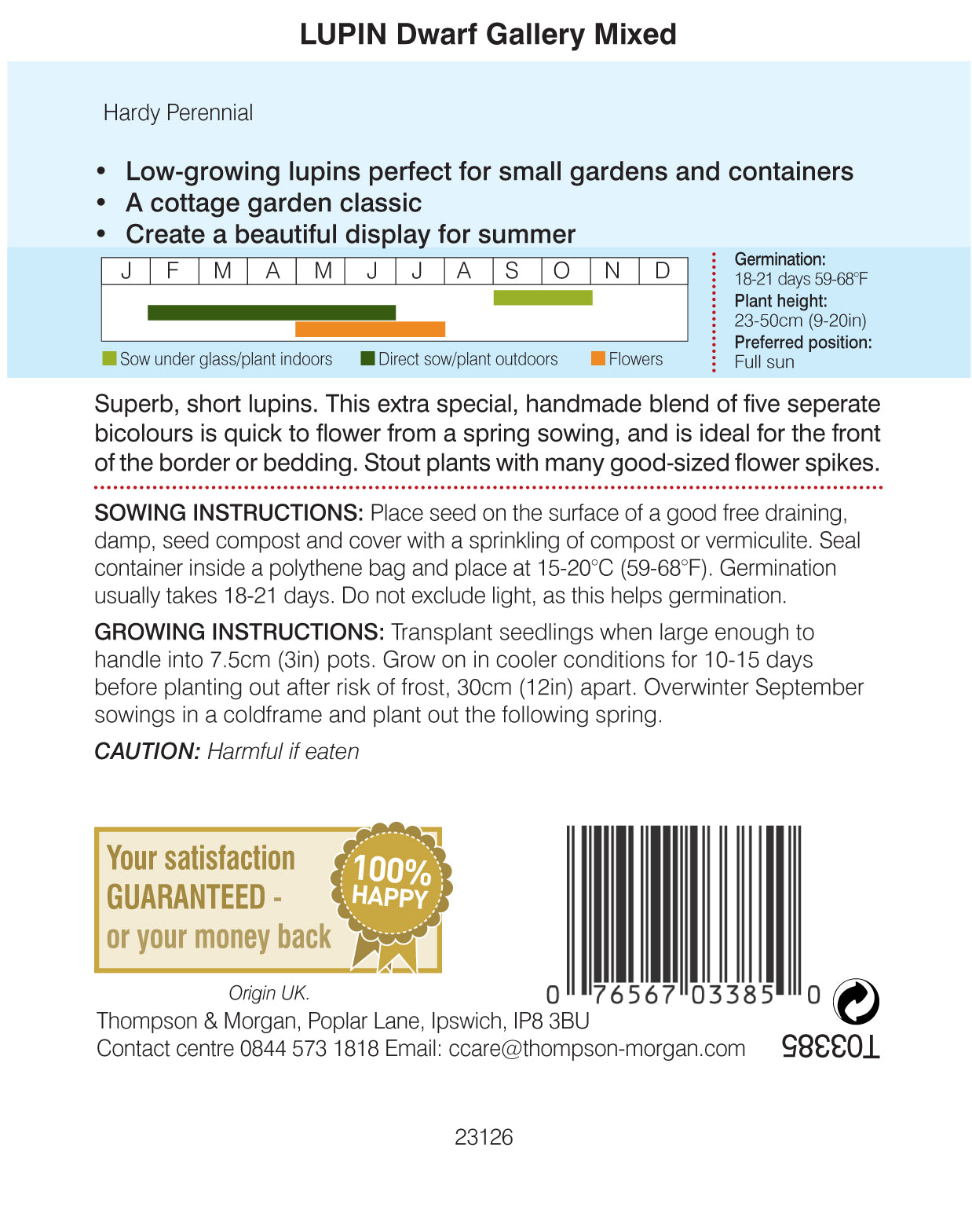 Lupin Dwarf Gallery Mixed