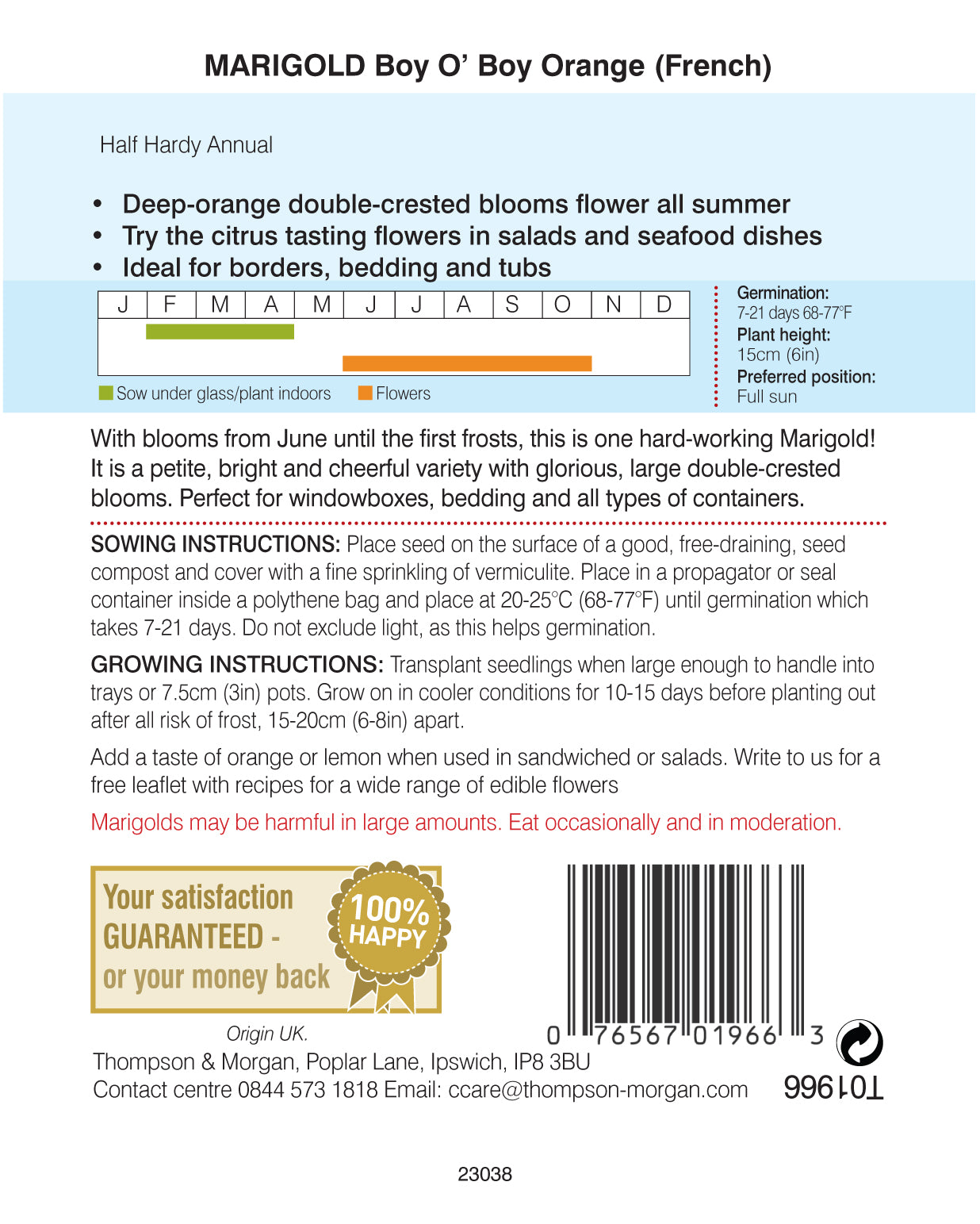 Marigold Boy O Boy Orange (French)