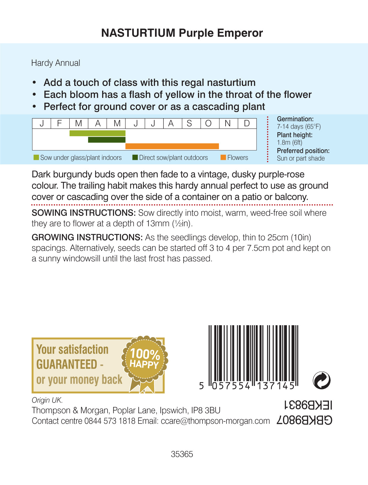 Nasturtium Purple Emperor