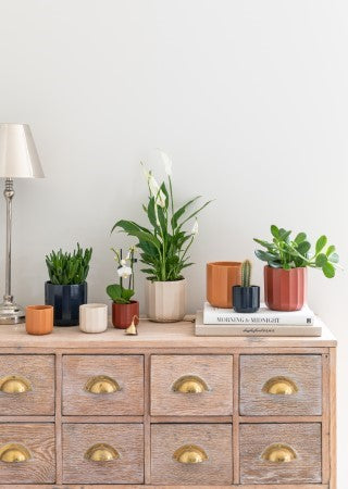 Positano Navy Blue Geo Planter H11cm D11cm-Easy Garden Centre