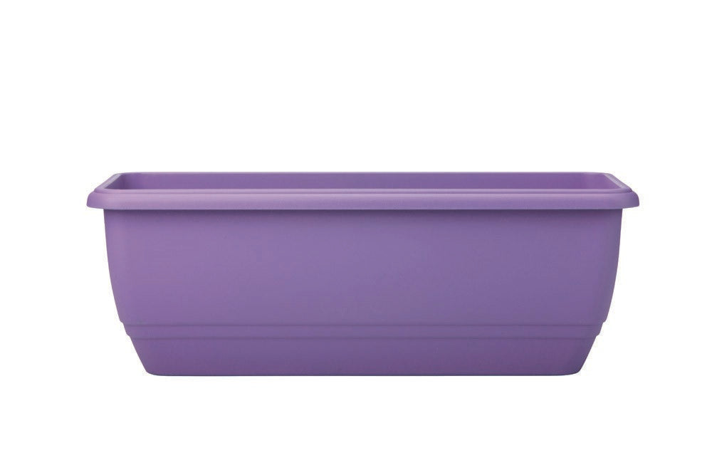 50cm Patio Trough Lavender-Easy Garden Centre