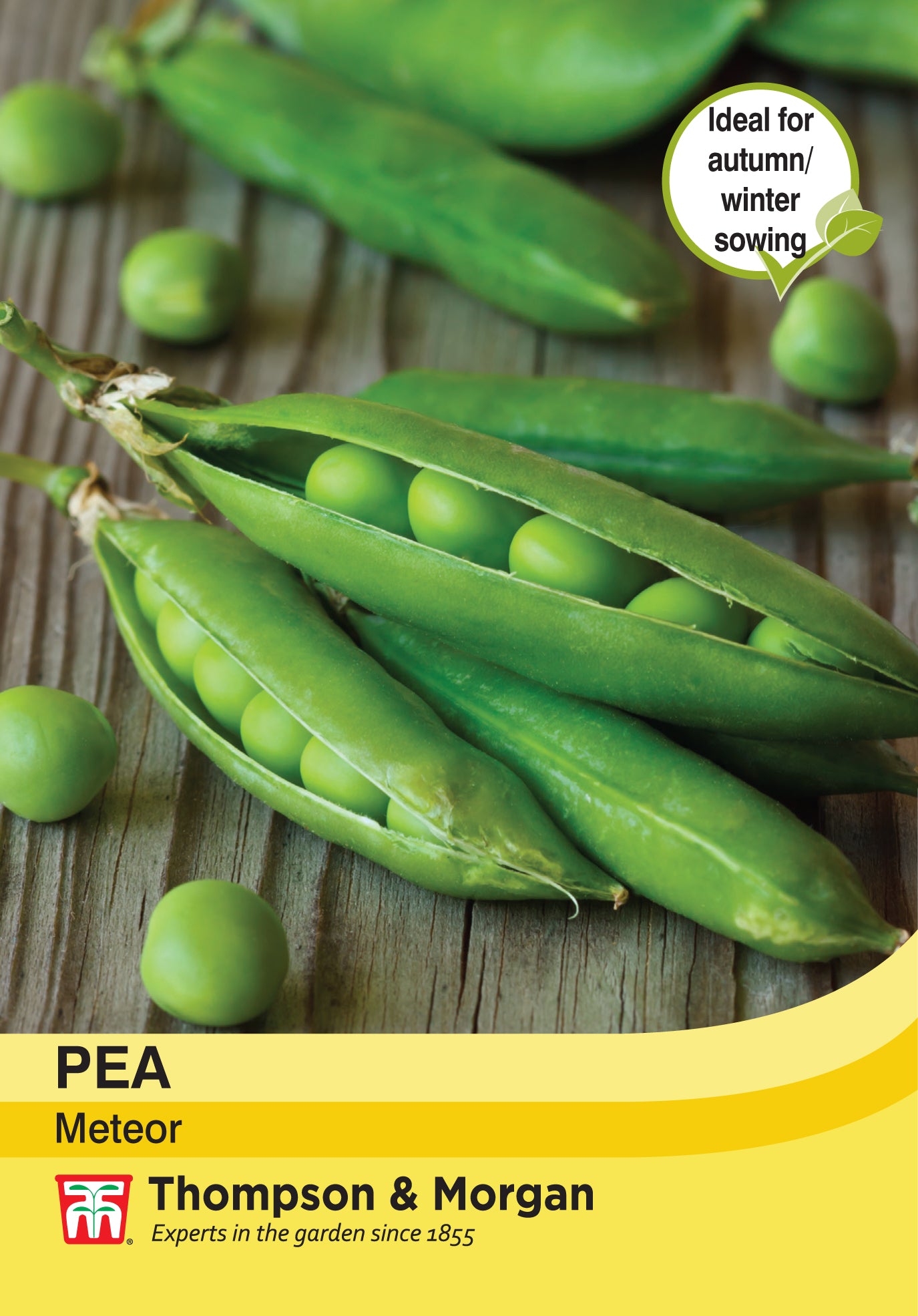 Pea Meteor