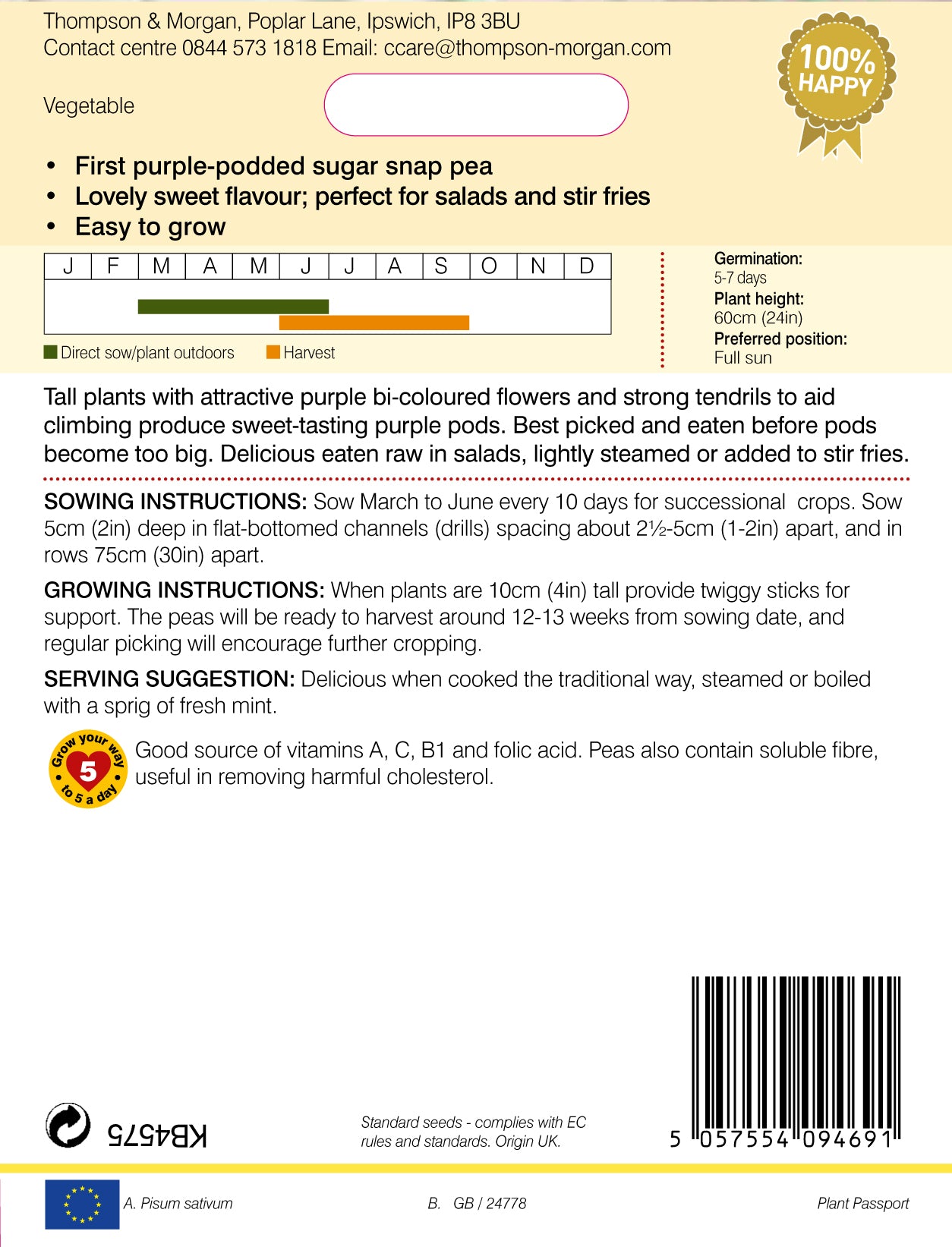 Pea Snap Climbing Purple Magnolia