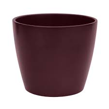 Poinsettia Planter Bordeaux H13Cm D14.5cm-Easy Garden Centre