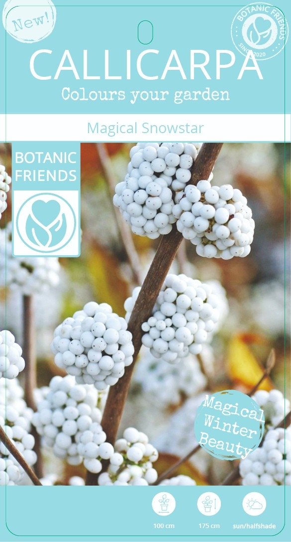 Callicarpa bod. Magical Snowstar 3ltr