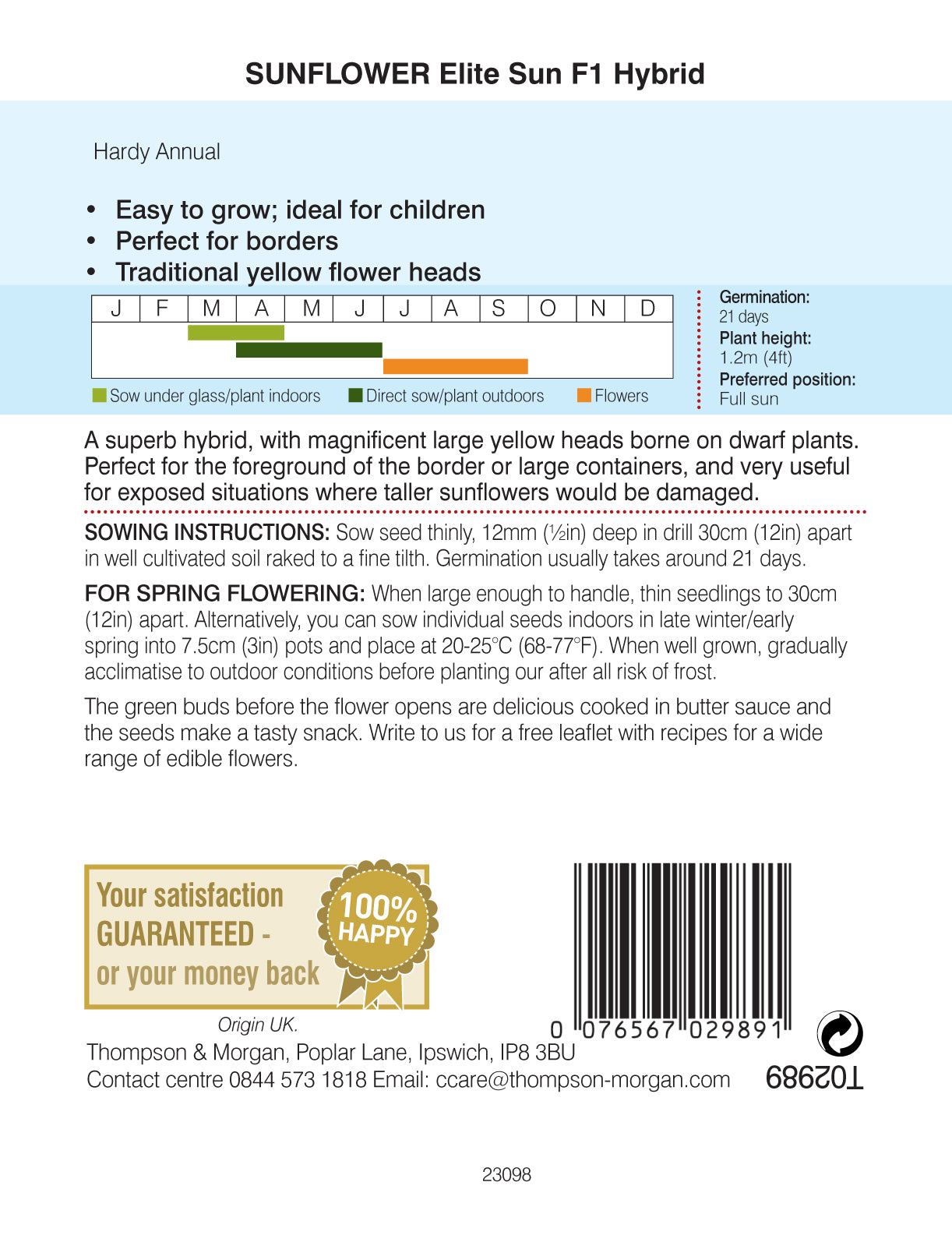 Sunflower Elite Sun F1 Hybrid-Easy Garden Centre