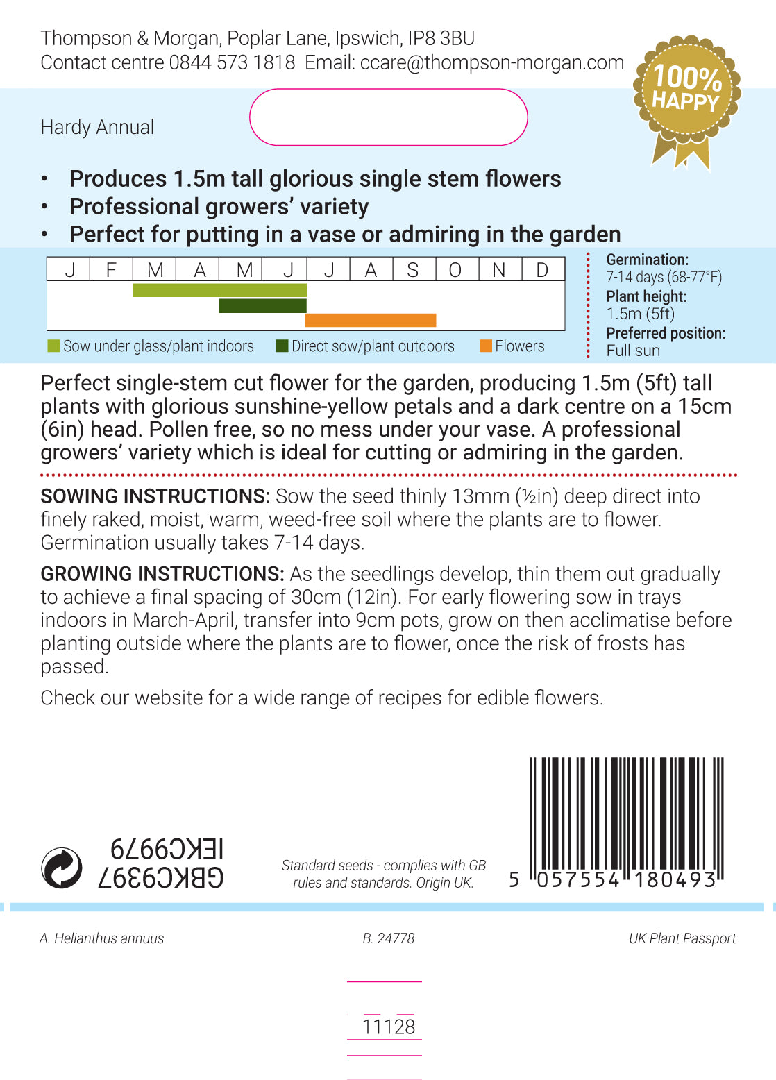 Sunflower Helianthus annuus Carmel F1