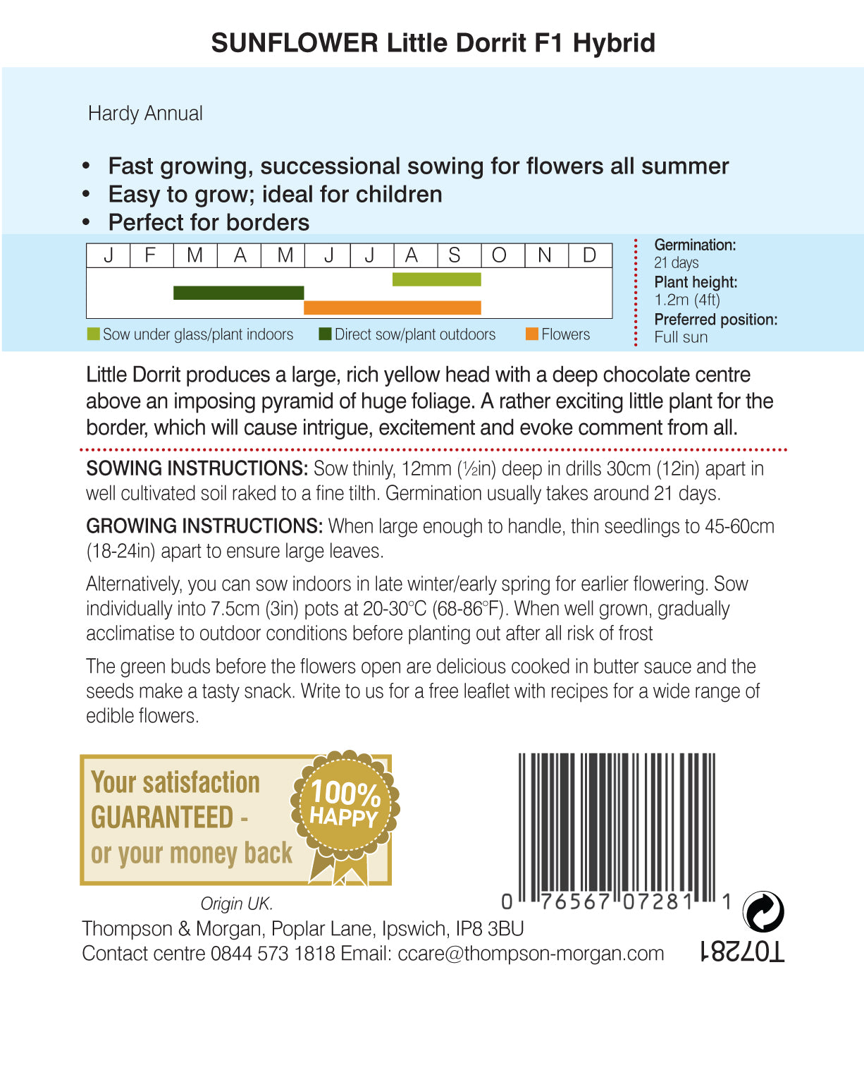 Sunflower Little Dorrit F1 Hybrid-Easy Garden Centre