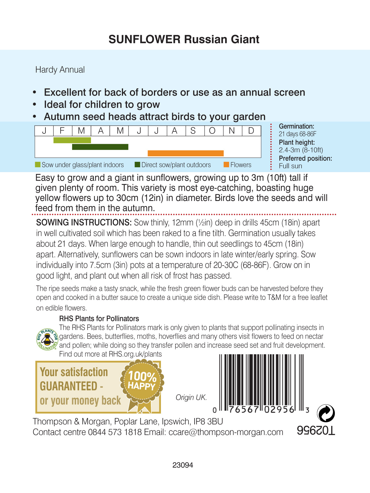 Sunflower Russian Giant