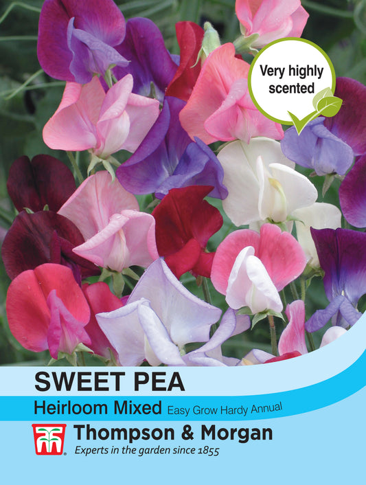 Sweet Pea Heirloom Mix