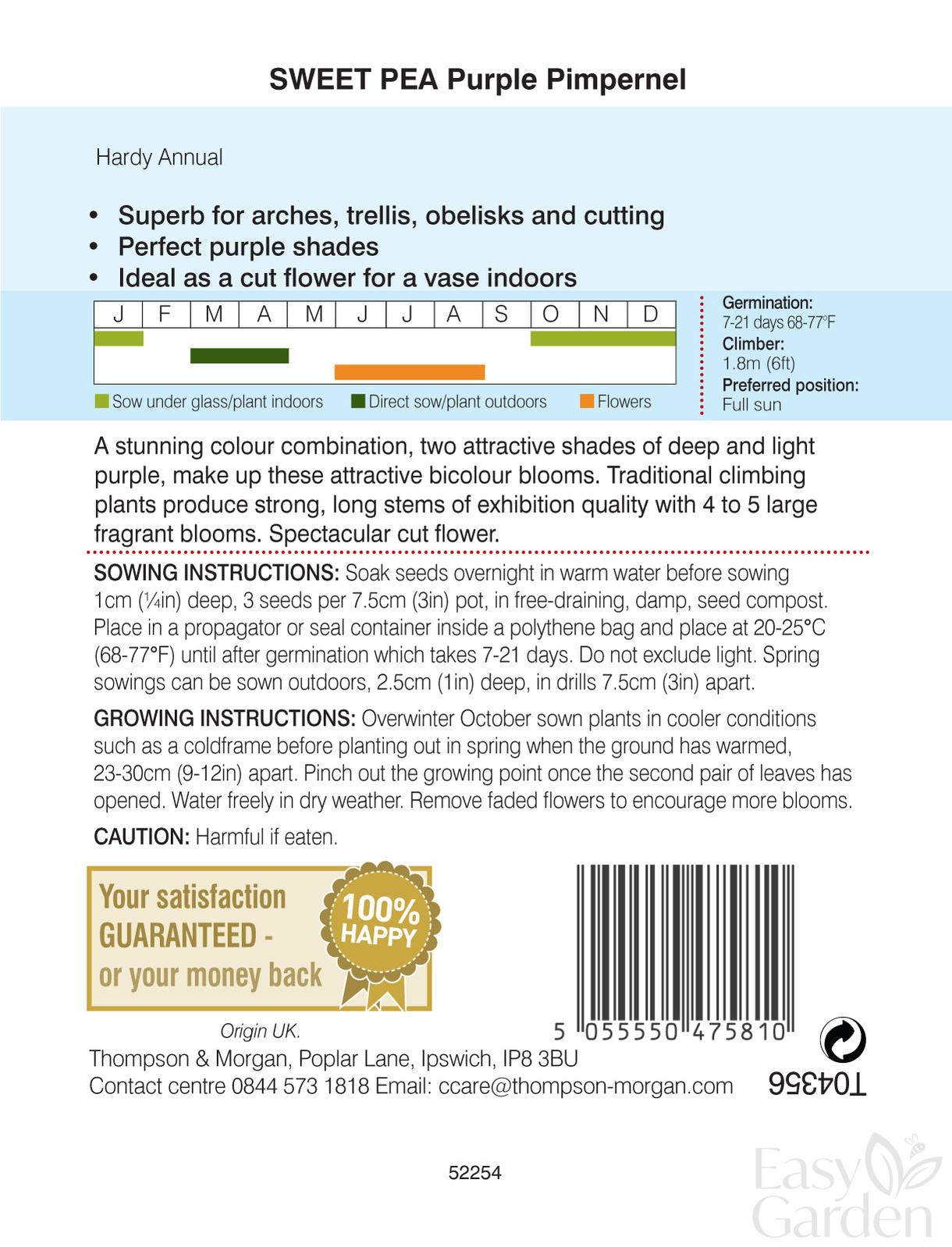 Sweet Pea Purple Pimpernel