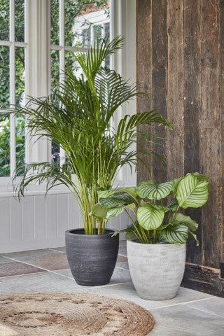 Toulouse Anthracite Planter H39Cm D42Cm-Easy Garden Centre