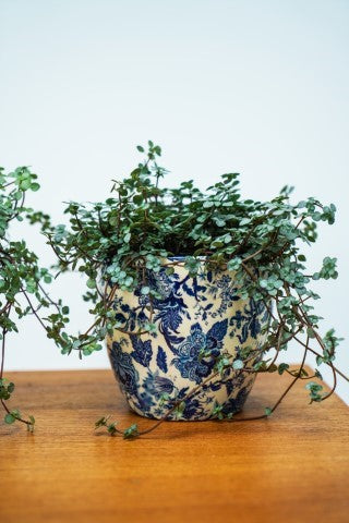 Monza Vintage Blue 13cm Planter-Easy Garden Centre