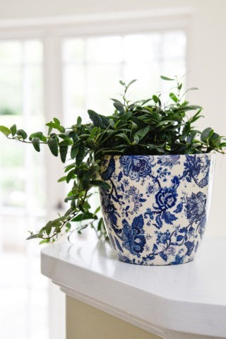 Monza Vintage Blue 17.5cm Planter-Easy Garden Centre