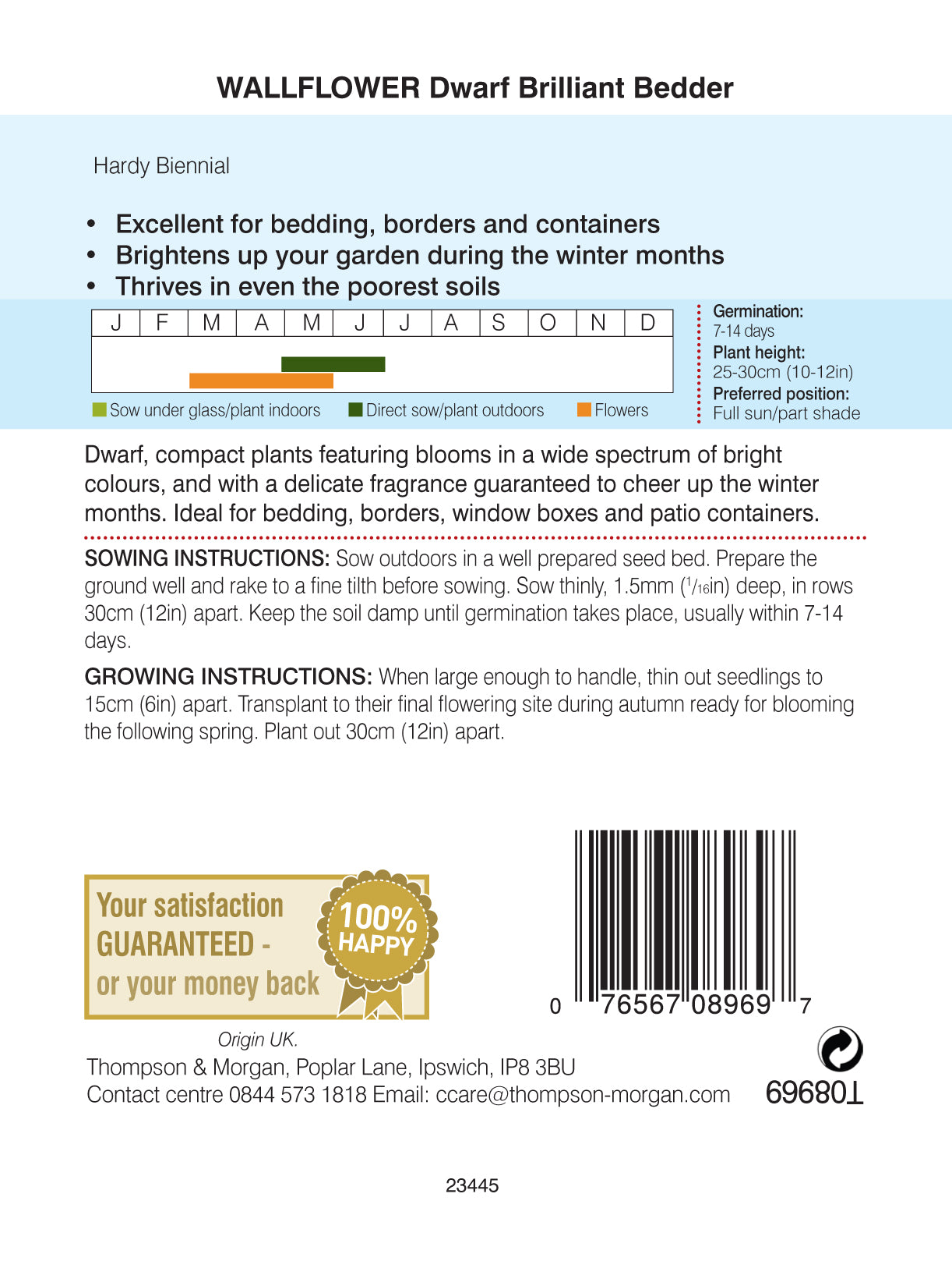 Wallflower Dwarf Brilliant Bedder