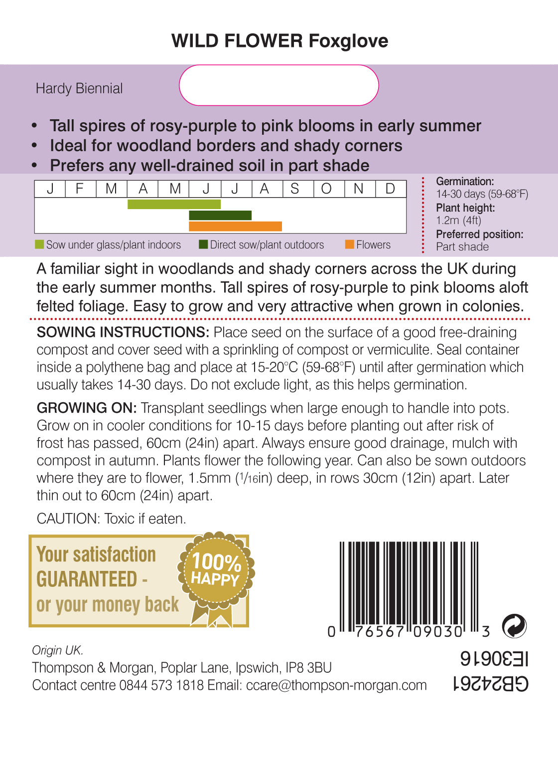 Wild Flower Foxglove