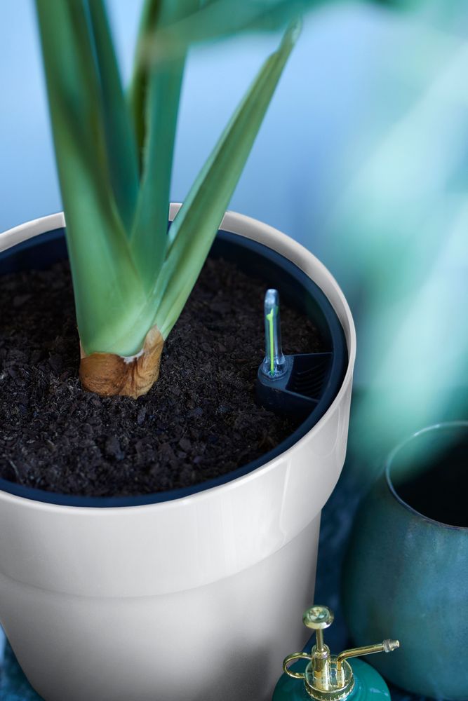 B.for Original Round 25 White