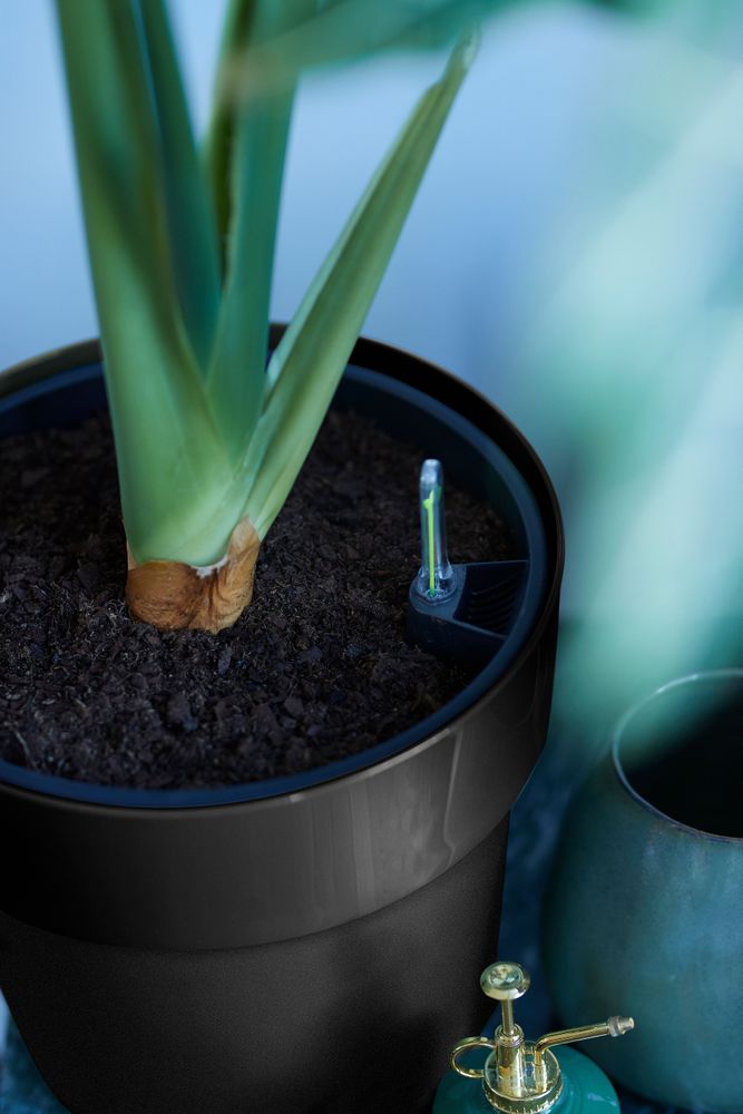 B.for Original Round 25 black