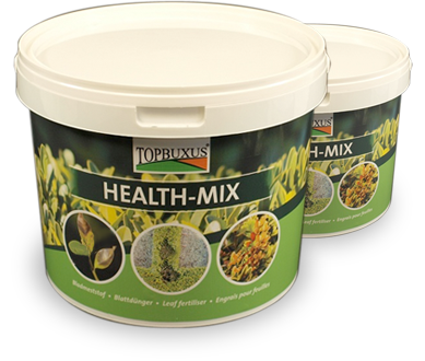 Topbuxus Health Mix 10Tab (12)