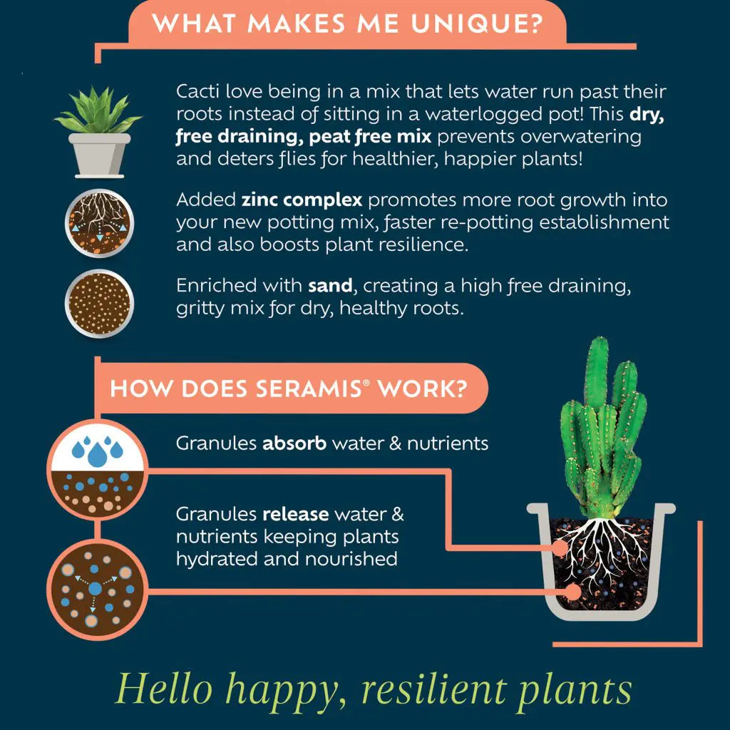Westland Cacti & Succulent Potting Mix Peat Free 4L