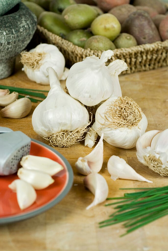 Garlic Arno 3 Piece-Easy Garden Centre