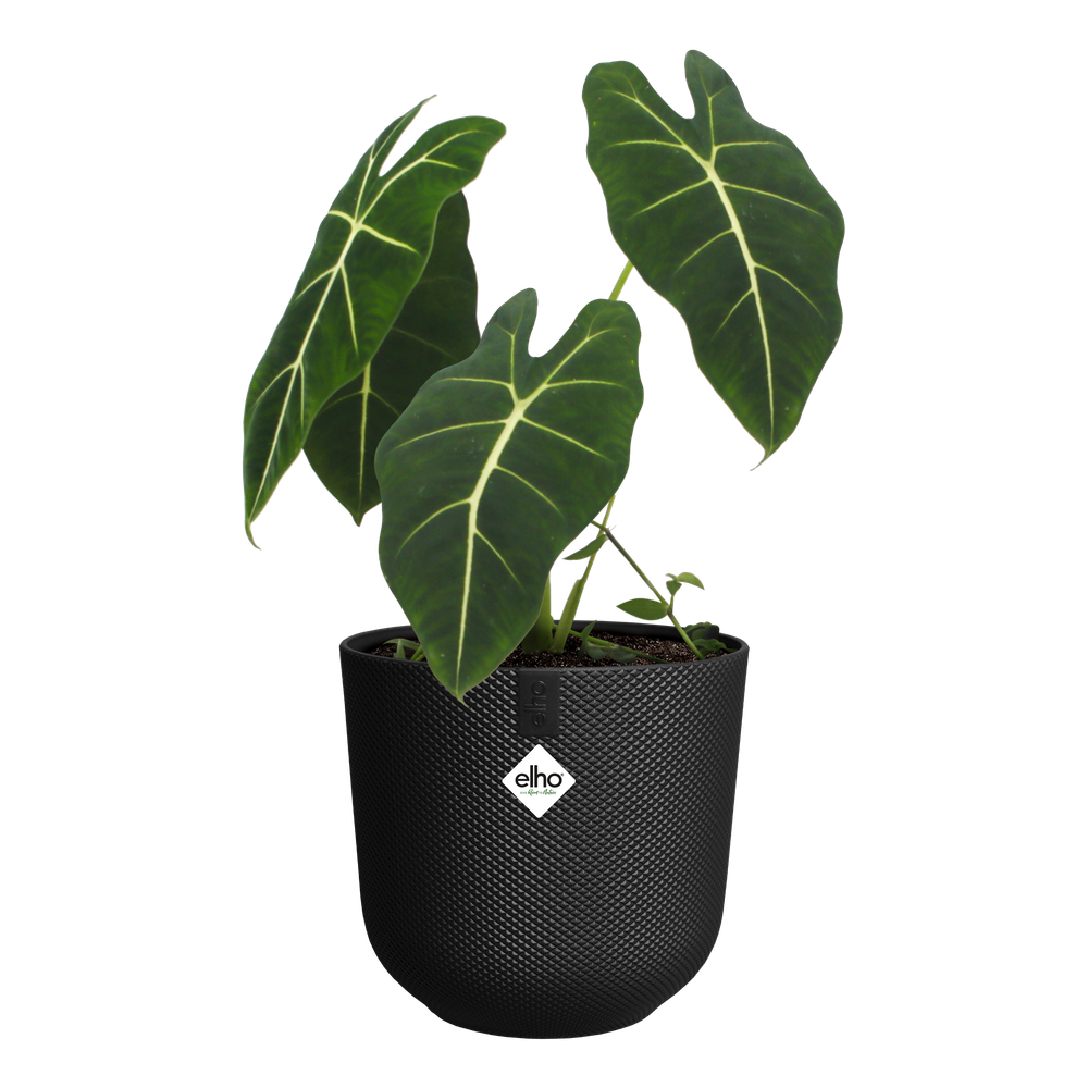 jazz round 23cm - living black-Easy Garden Centre