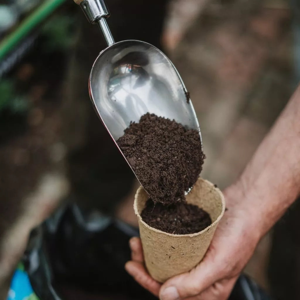 John Innes Peat Free No.2 Potting-on Compost 10L