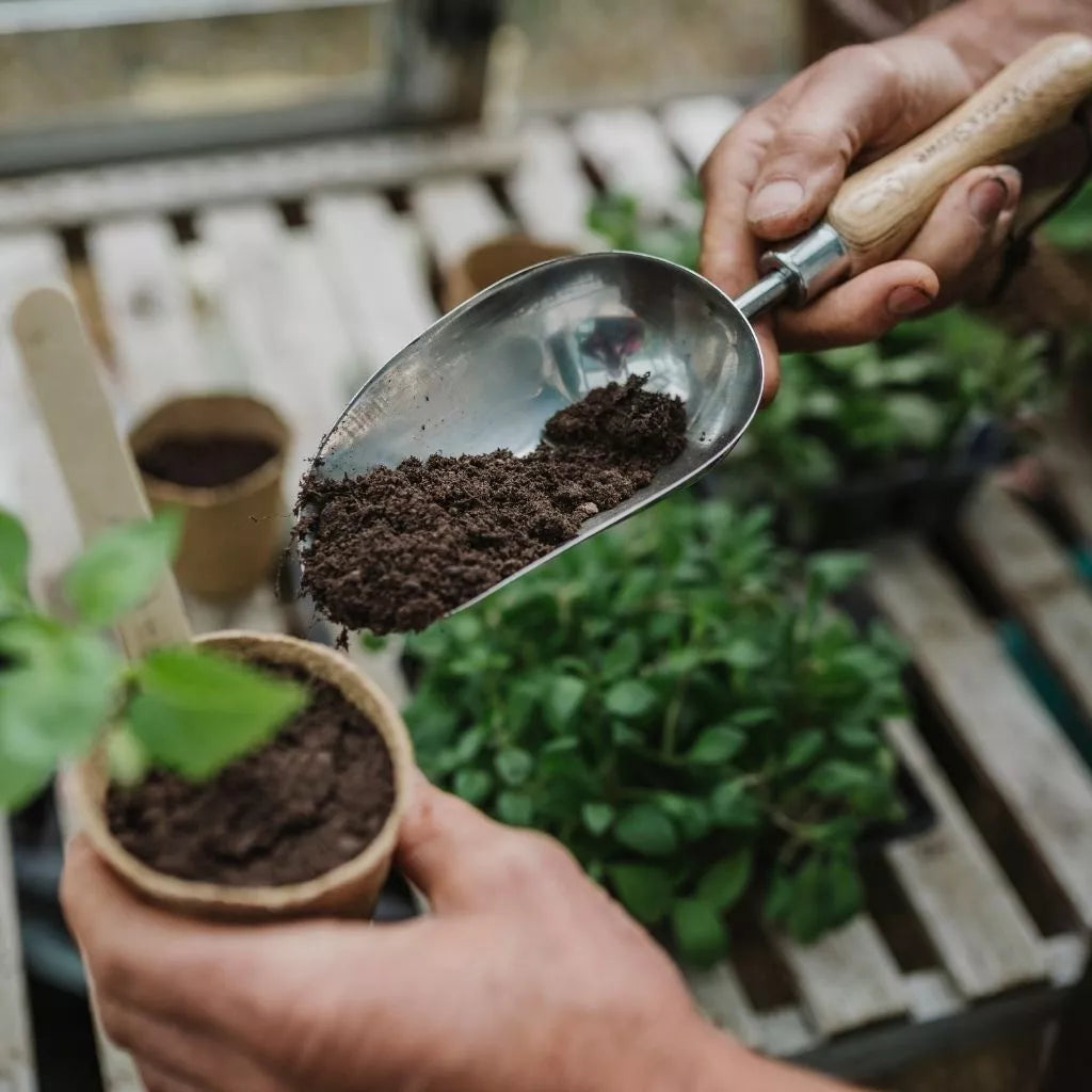 John Innes Peat Free No.2 Potting-on Compost 10L