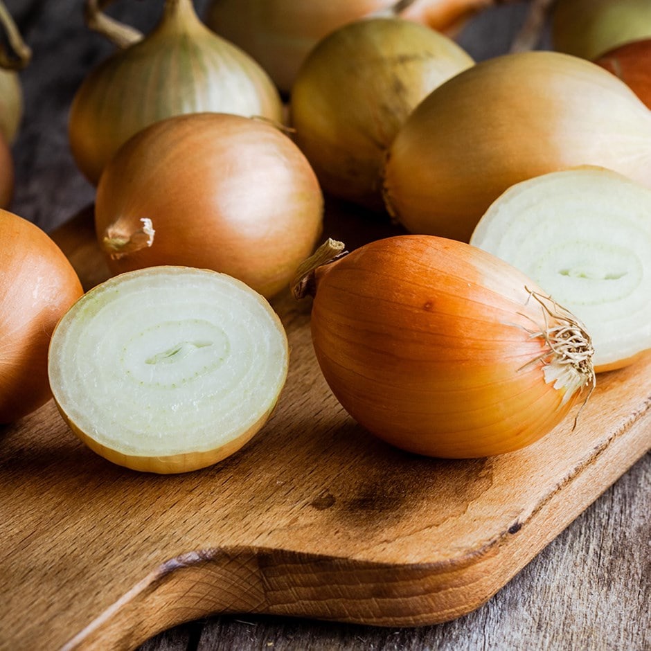 Golden Gourmet Shallot 250G-Easy Garden Centre