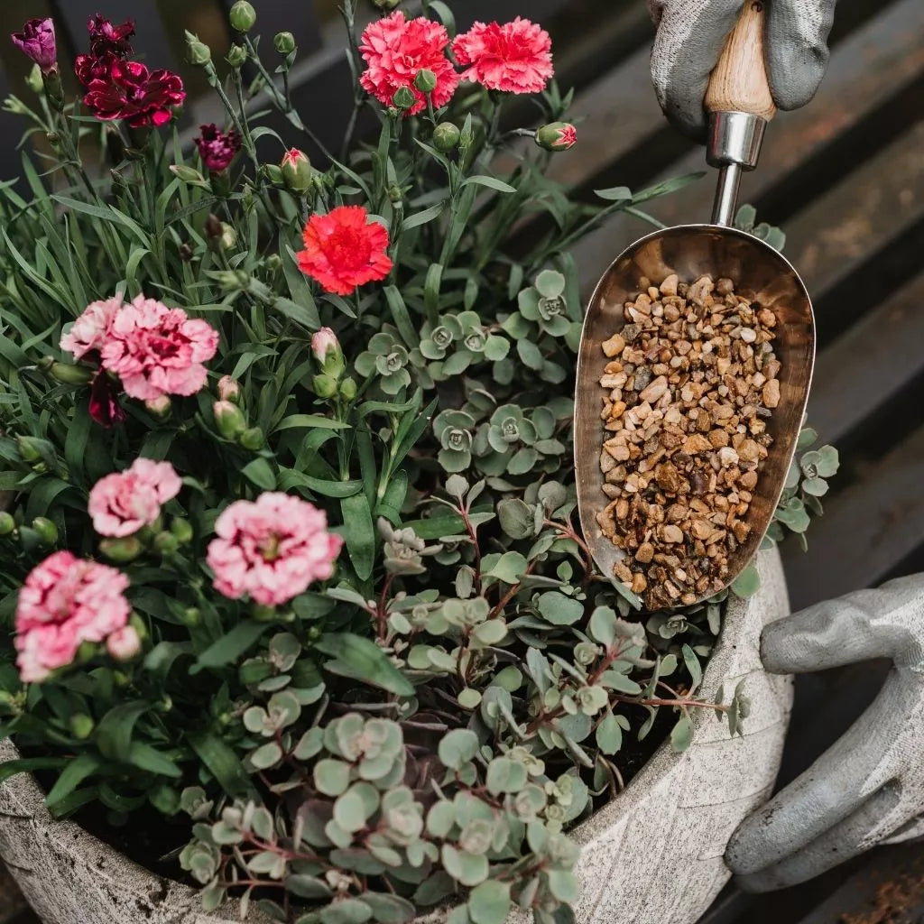 Potting Grit 20kg (delisted)
