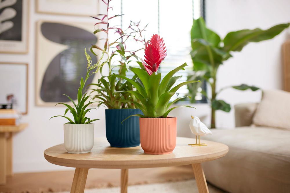 Vibes Fold Round 16cm, Blue