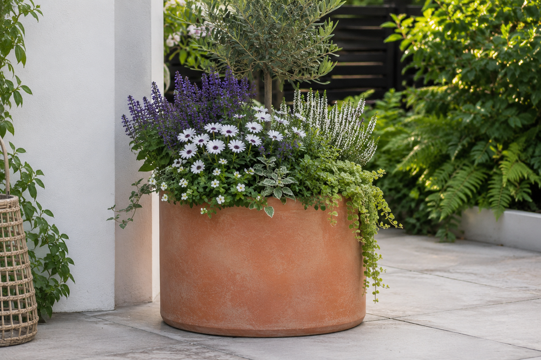 Large terracotta planter filled with purple flowering plants and white daisies on a paved patio.