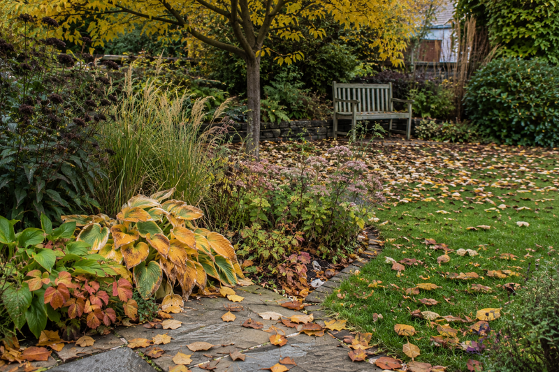 What should you do with fallen leaves?